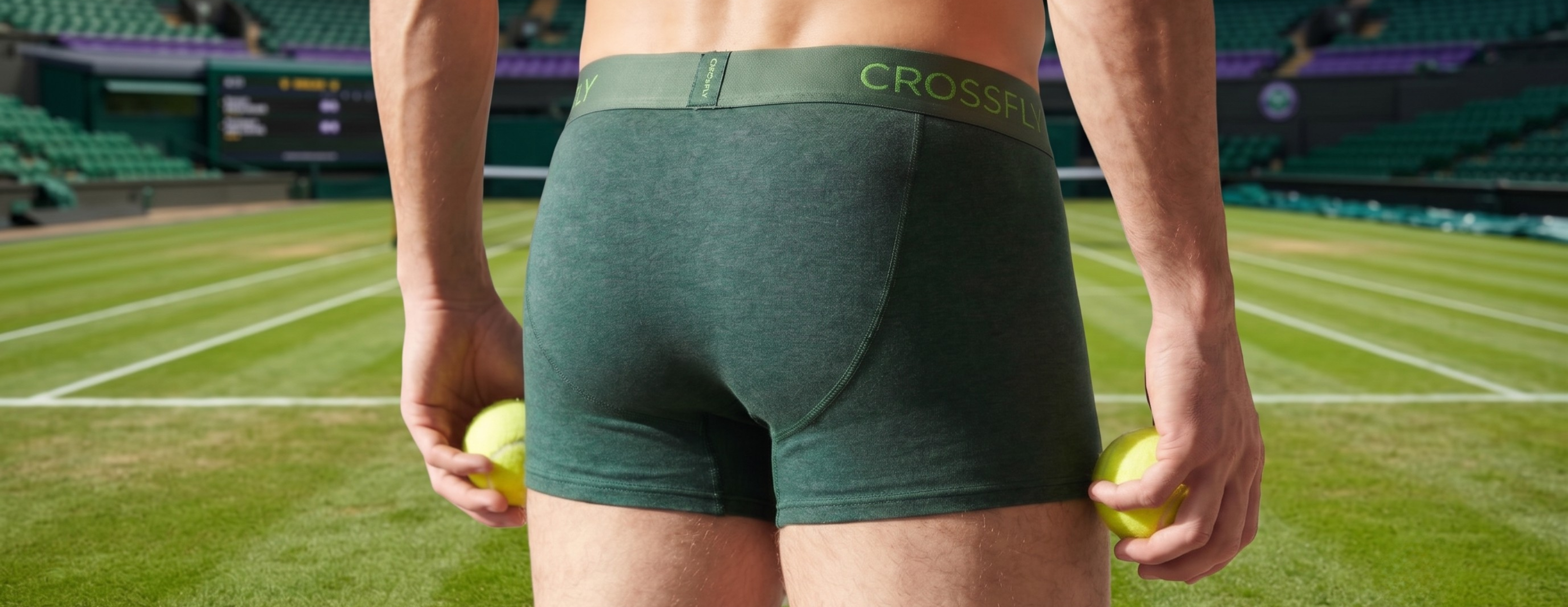 Banner image